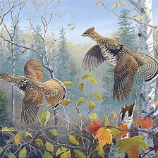 Схема вышивки «№2476025»