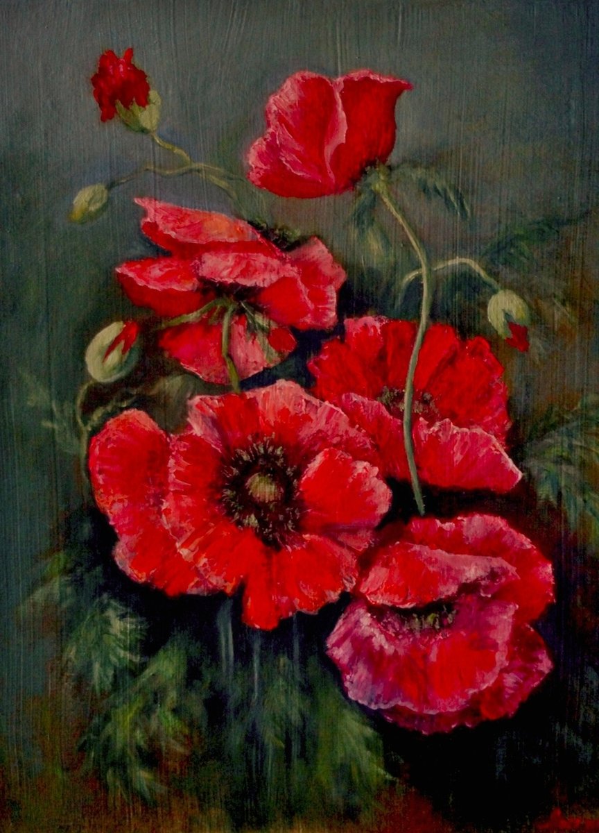 Маки - маки. цветы. - оригинал