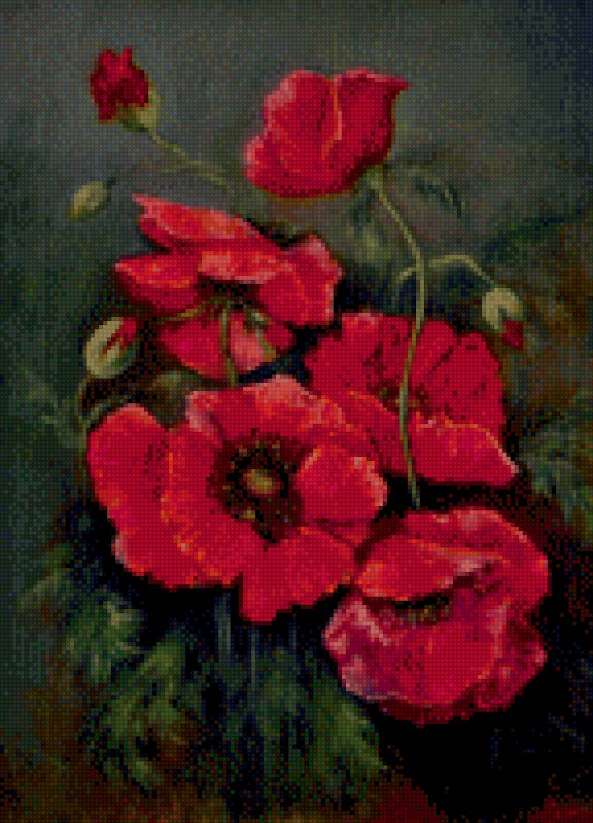 Маки - маки. цветы. - предпросмотр