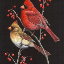 Схема вышивки «№2476225»