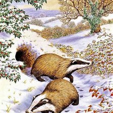 Схема вышивки «Барсуки»