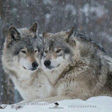 Схема вышивки «№2476303»