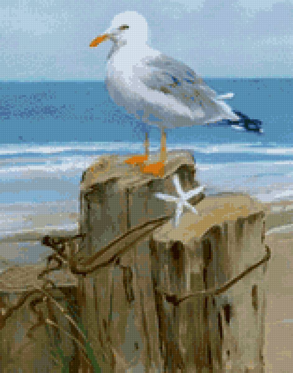 Чайка - чайка - предпросмотр