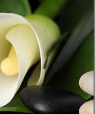 Схема вышивки «кала 2»