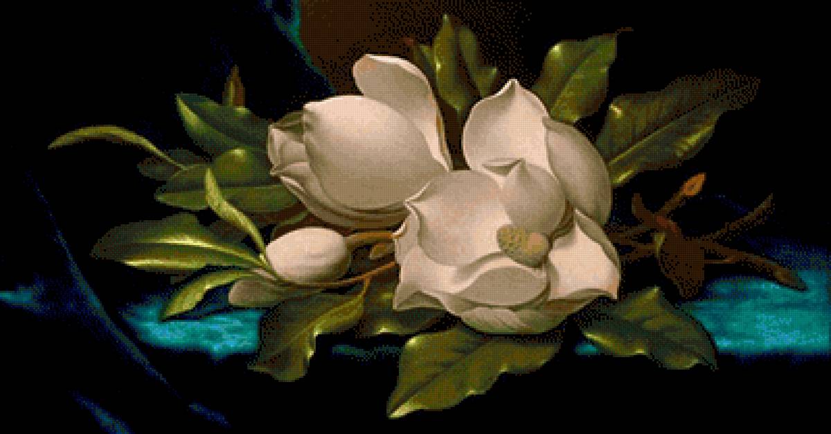 магнолия - предпросмотр