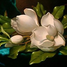 Схема вышивки «магнолия»