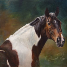 Схема вышивки «художник Mirelle Vegers»