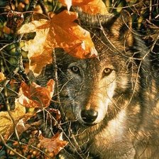 Схема вышивки «волк»
