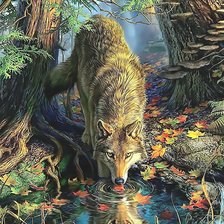 Схема вышивки «волк»