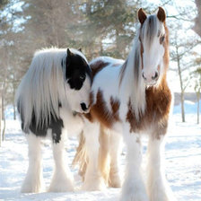 Схема вышивки «зимние плюшки»