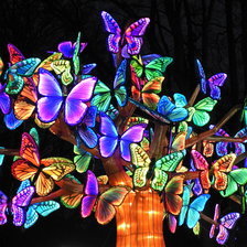 Схема вышивки «Бабочки»