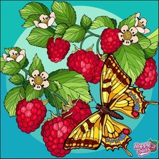 Схема вышивки «бабочка»