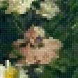 Предпросмотр схемы вышивки «Полевые цветы» (№2477005)