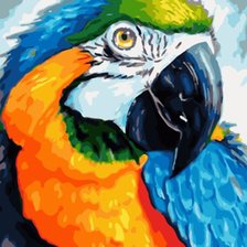 Схема вышивки «Ара»