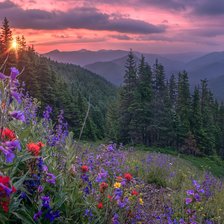 Схема вышивки «№2477543»