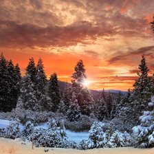 Схема вышивки «№2477548»