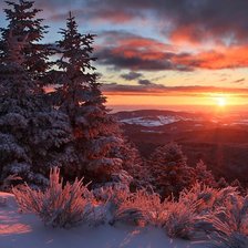 Схема вышивки «№2477557»