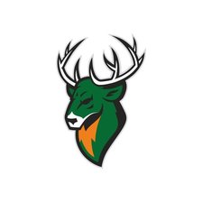 Схема вышивки «торпедо»