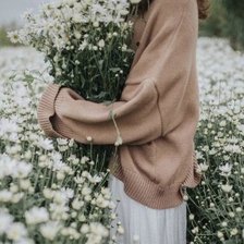 Схема вышивки «Ромашки»