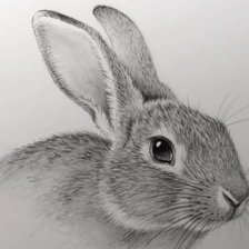 Схема вышивки «№2478910»