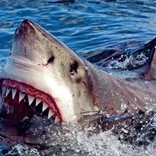 Схема вышивки «океан»