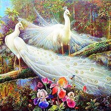 Схема вышивки «Павлины белые»