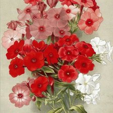 Схема вышивки «Худ, В.Н.Мюллер»