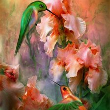 Схема вышивки «Колибри»