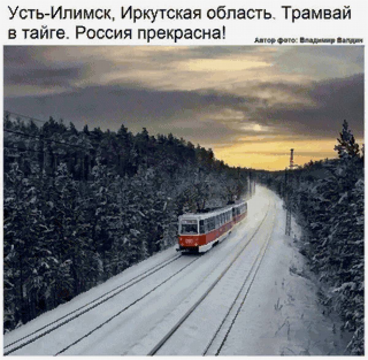 №2480471 - предпросмотр