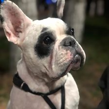 Схема вышивки «Пеппа»