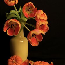 Схема вышивки «№2481501»