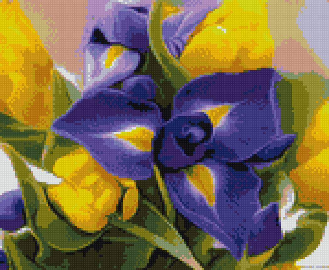 Цветы - предпросмотр