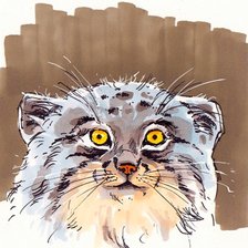 Схема вышивки «Манул»