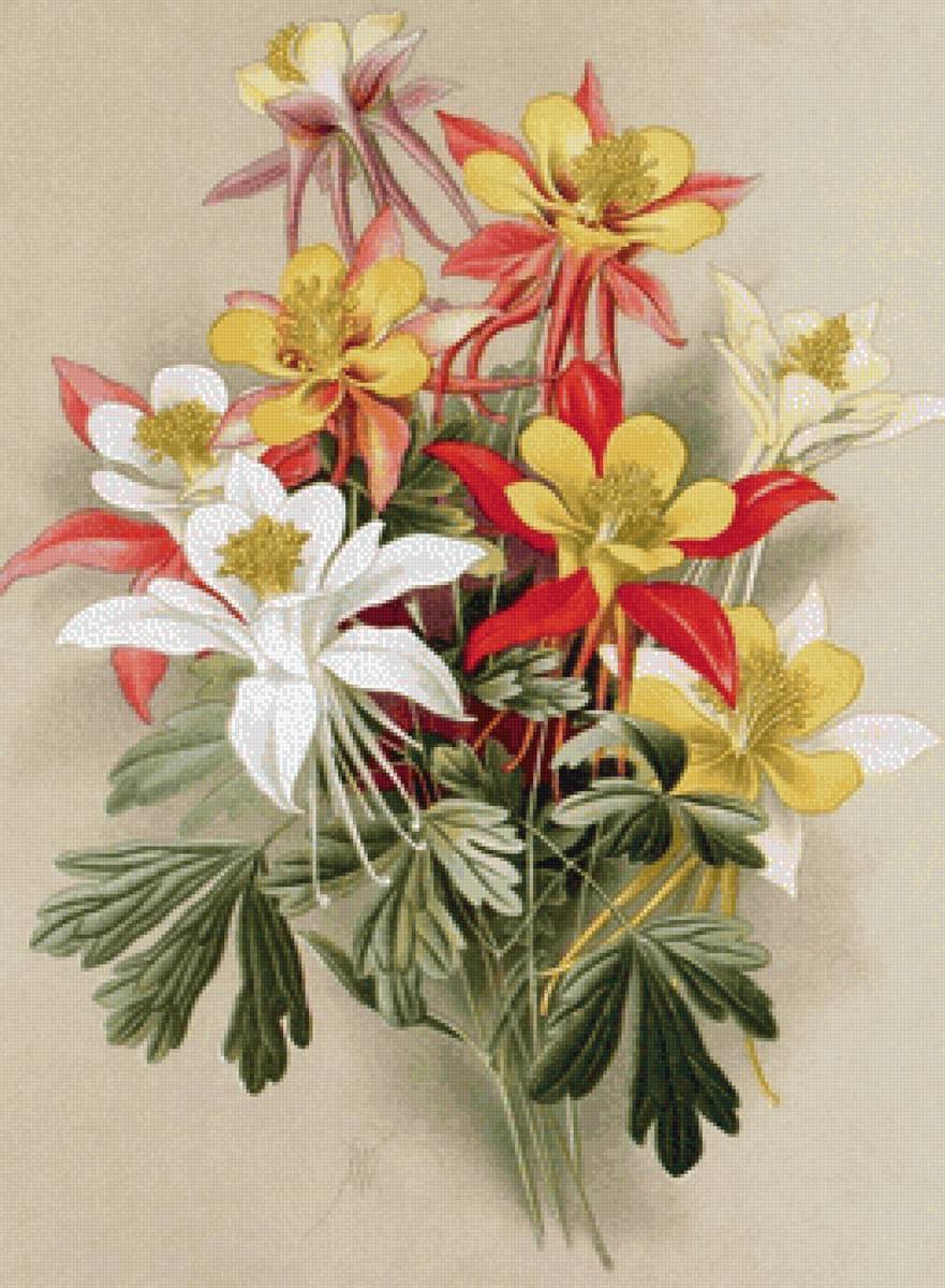 Худ. В.Н.Мюллер - живопись, цветы - предпросмотр