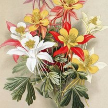 Схема вышивки «Худ. В.Н.Мюллер»