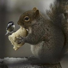 Схема вышивки «№2481826»