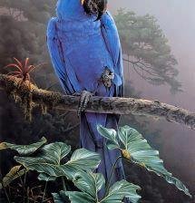 Схема вышивки «№2481830»