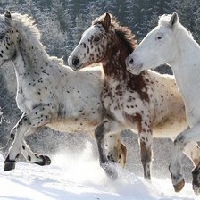 Схема вышивки «№2481835»