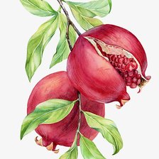 Схема вышивки «№2481959»