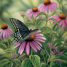 Схема вышивки «№2481977»