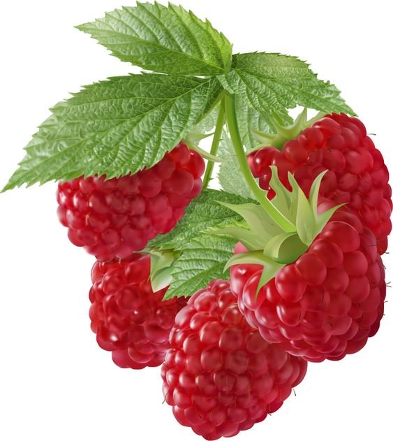 №2481981 - оригинал