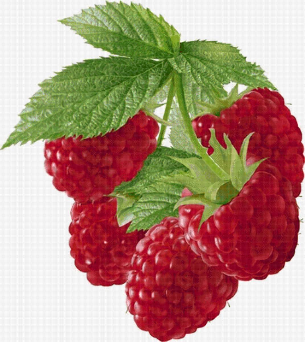 №2481981 - предпросмотр