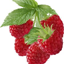 Схема вышивки «№2481981»