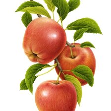 Схема вышивки «№2481985»