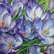 Схема вышивки «№2481999»