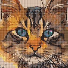 Схема вышивки «взгляд»