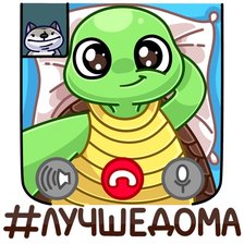 Схема вышивки «Черепашка»