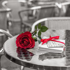 Схема вышивки «Роза»