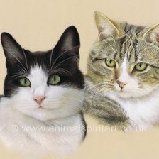 Схема вышивки «№2482585»