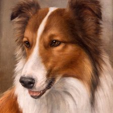 Схема вышивки «№2482596»